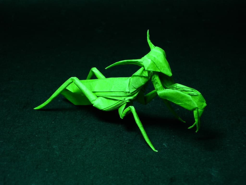 Praying Mantis
