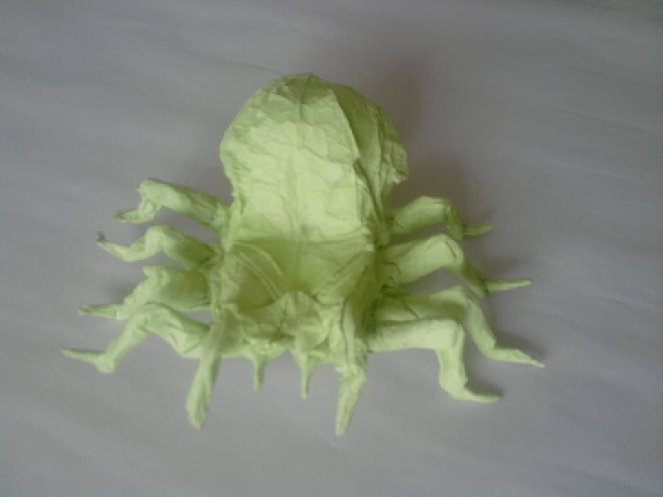 Tarantula (Robert J. Lang)