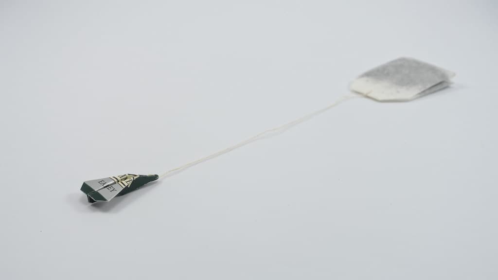 Tea Tag Airplane