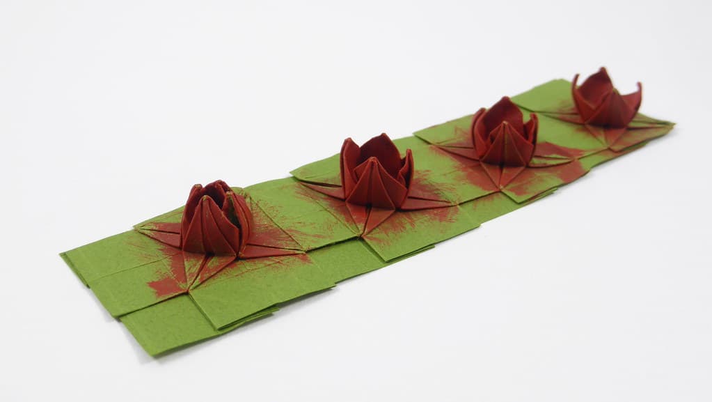 Parrot Tulip Opening