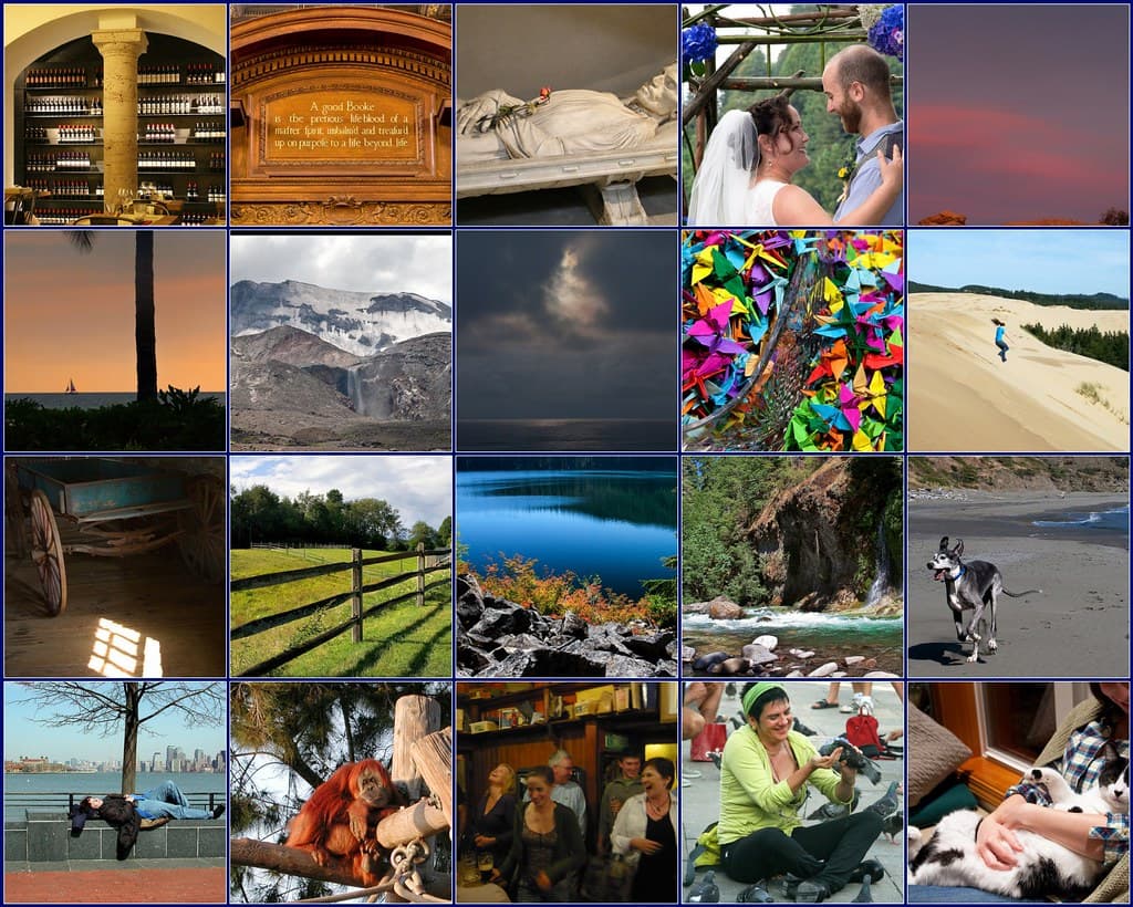 Traditional Origami Crane