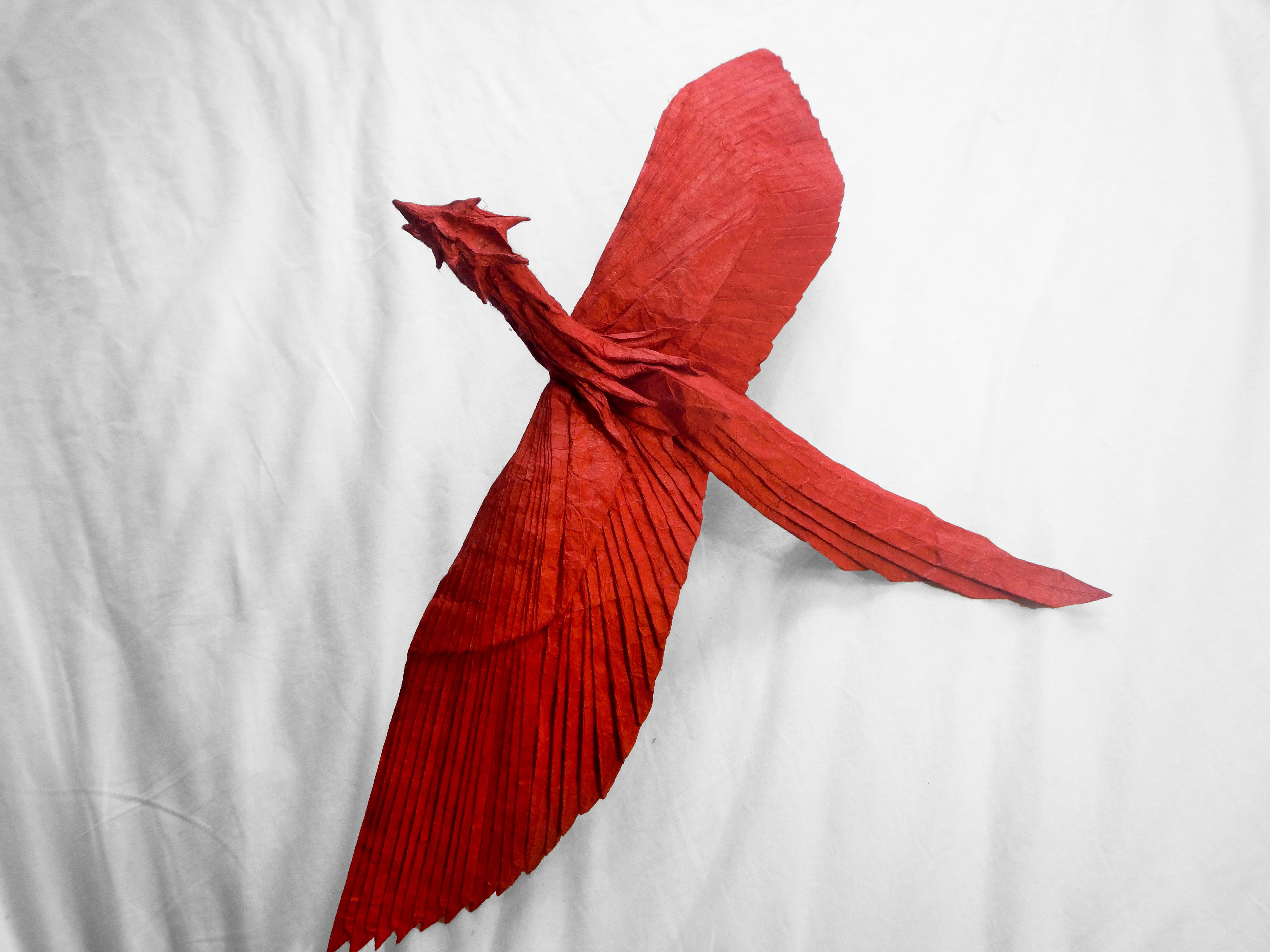 Robert Salazar's Phoenix