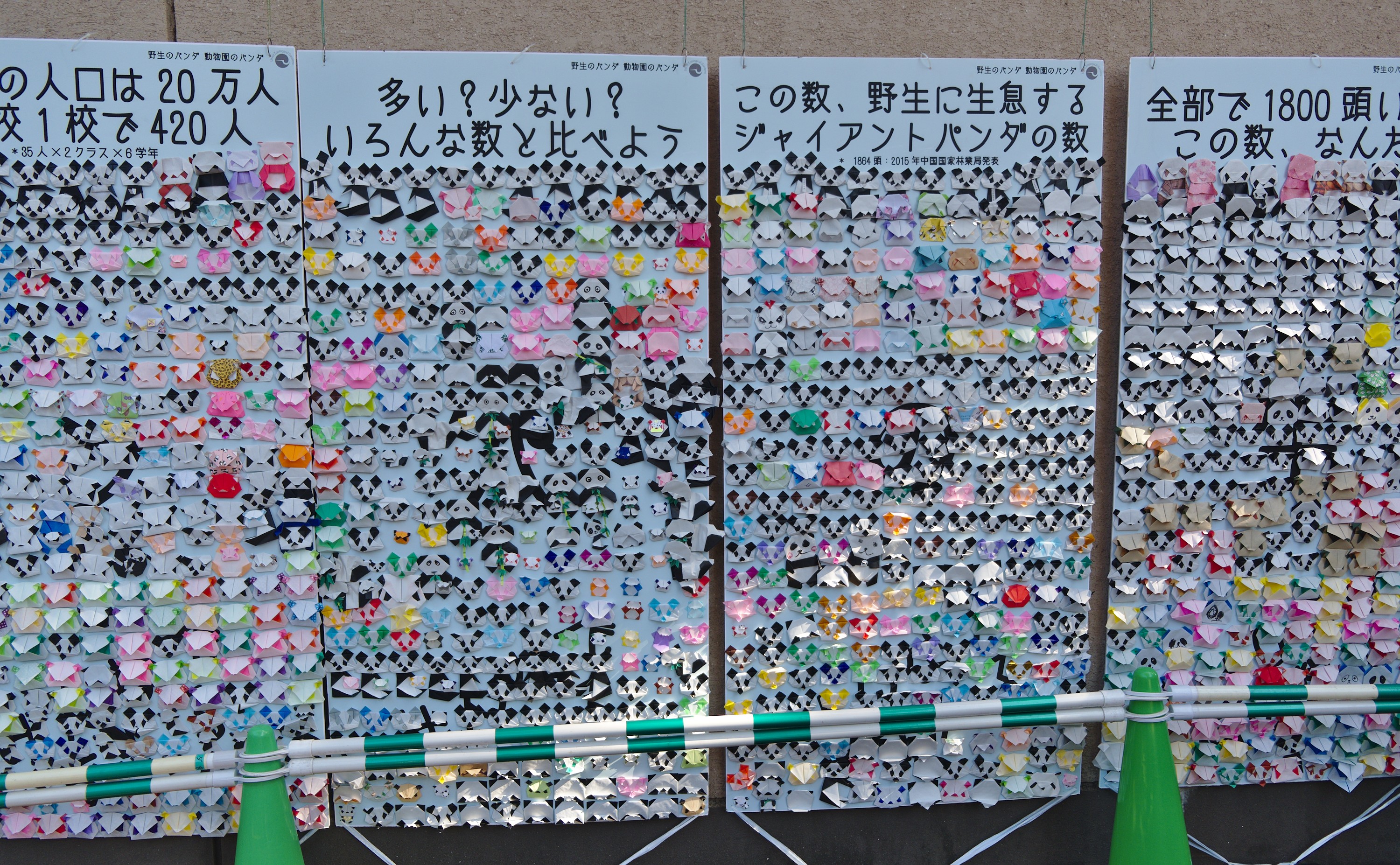 Origami Panda Face Display