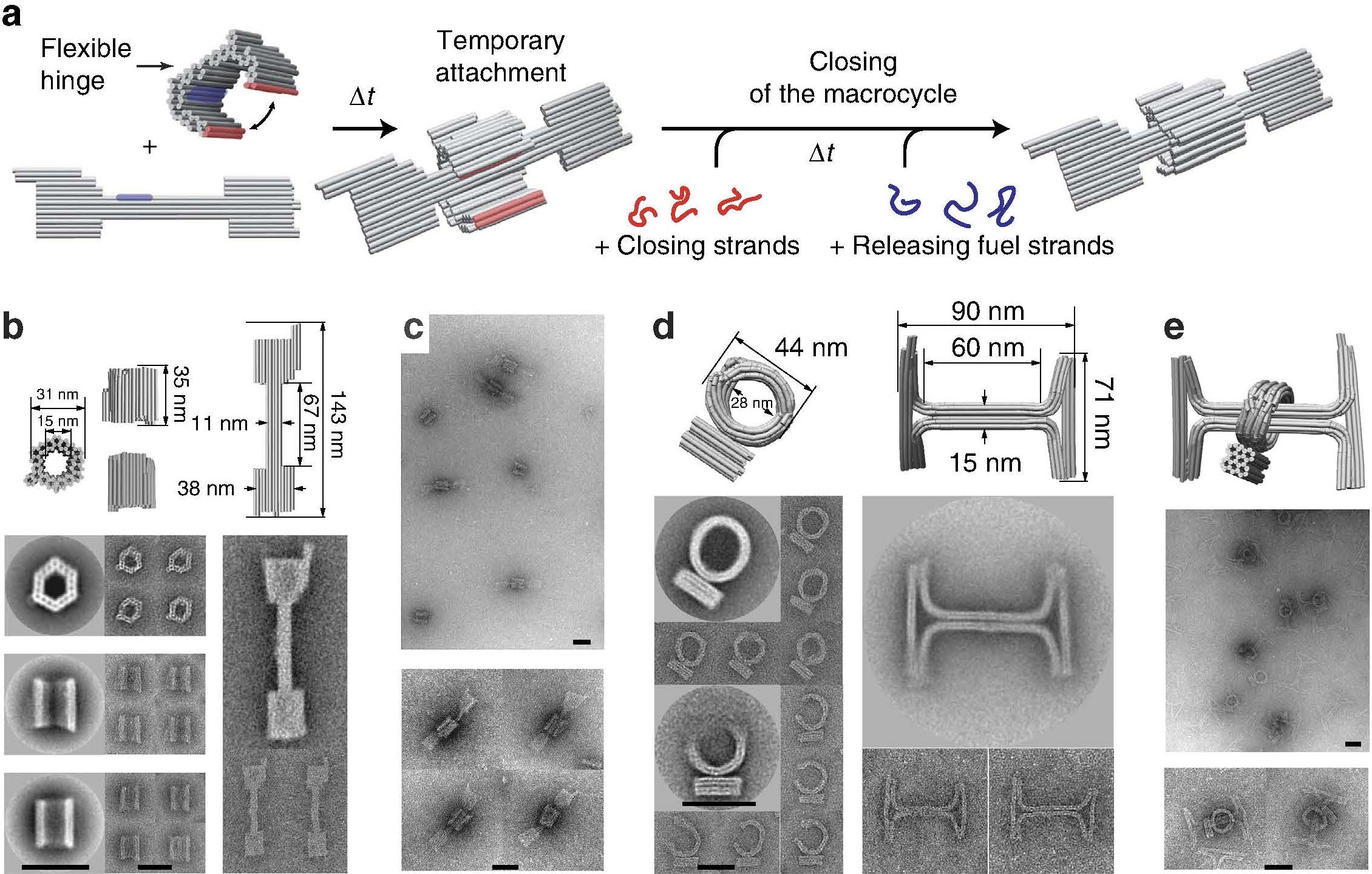 DNA Origami Rotaxane