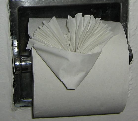 Toilet Paper Fan Fold
