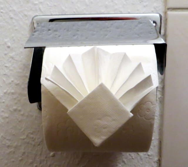 Toilet Paper Fan Fold