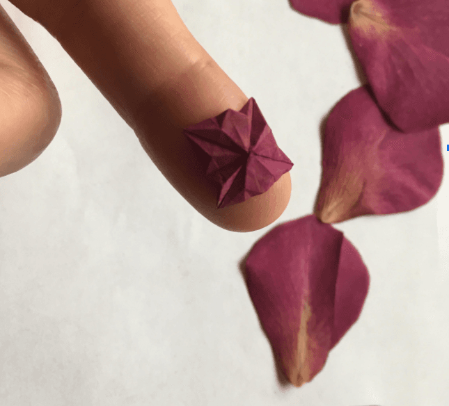 Hanakami Crane (Flower Petal Origami)
