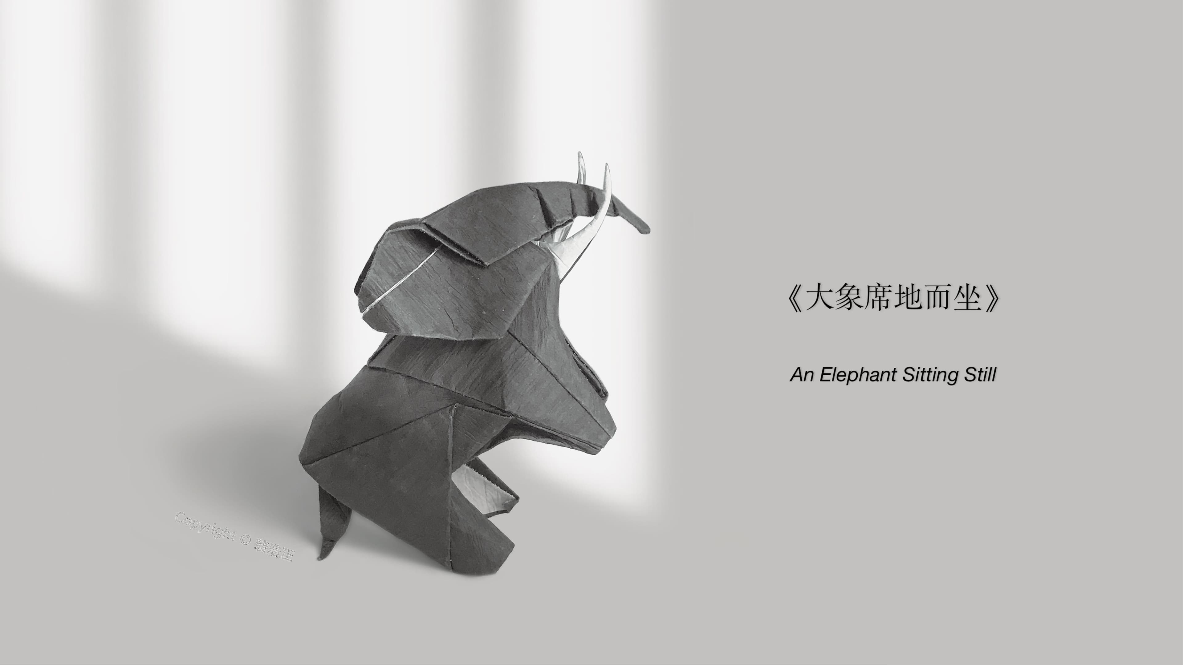 An Elephant Sitting Still