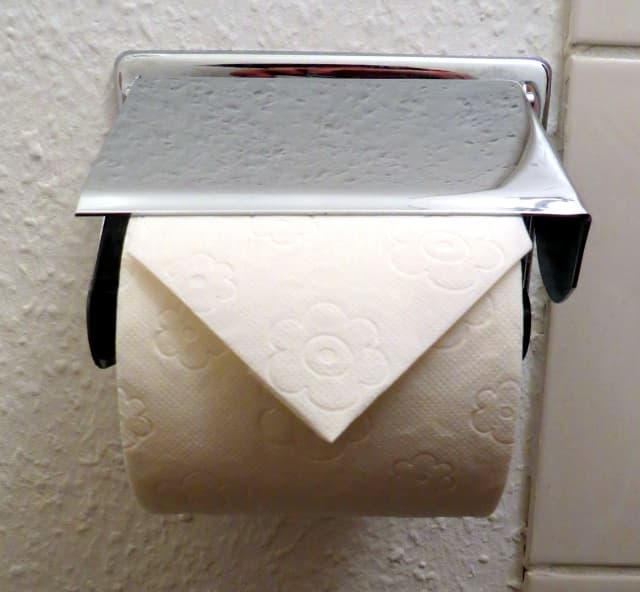 Hotel Toilet Paper Triangle Fold