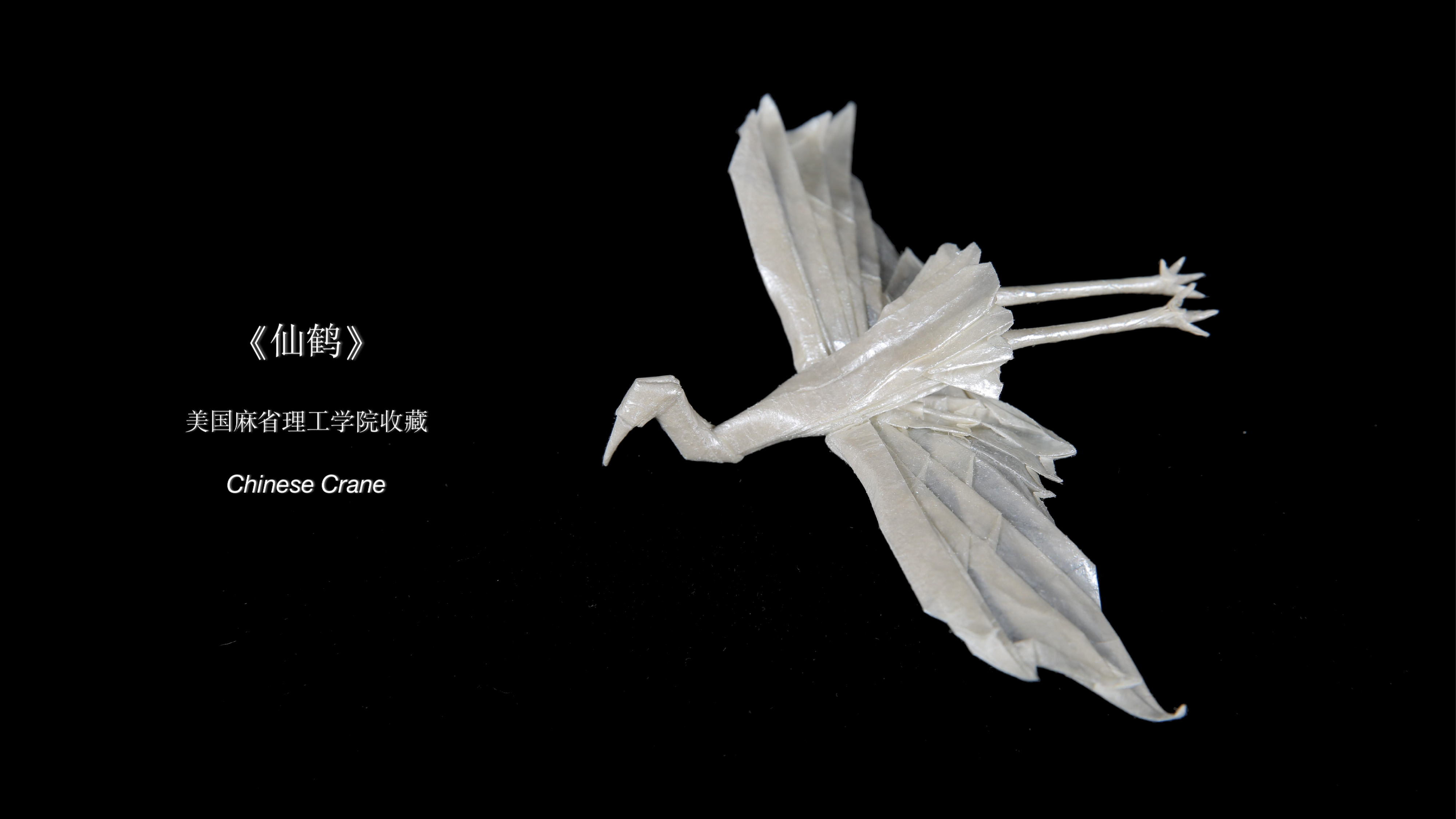 Chinese Crane