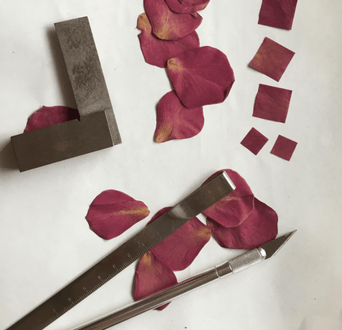 Hanakami Petal Cutting Setup