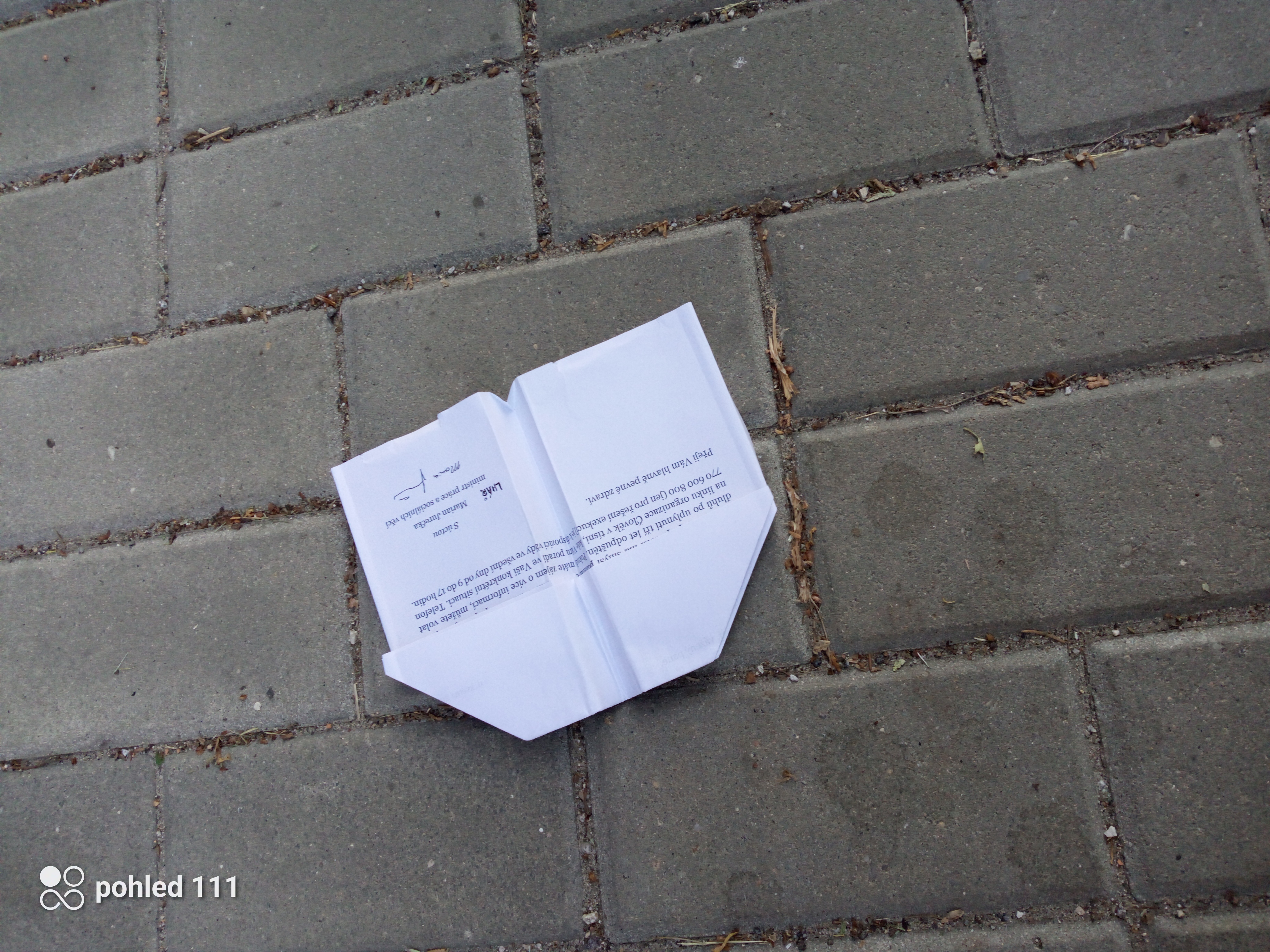 Classic Paper Swallow Airplane