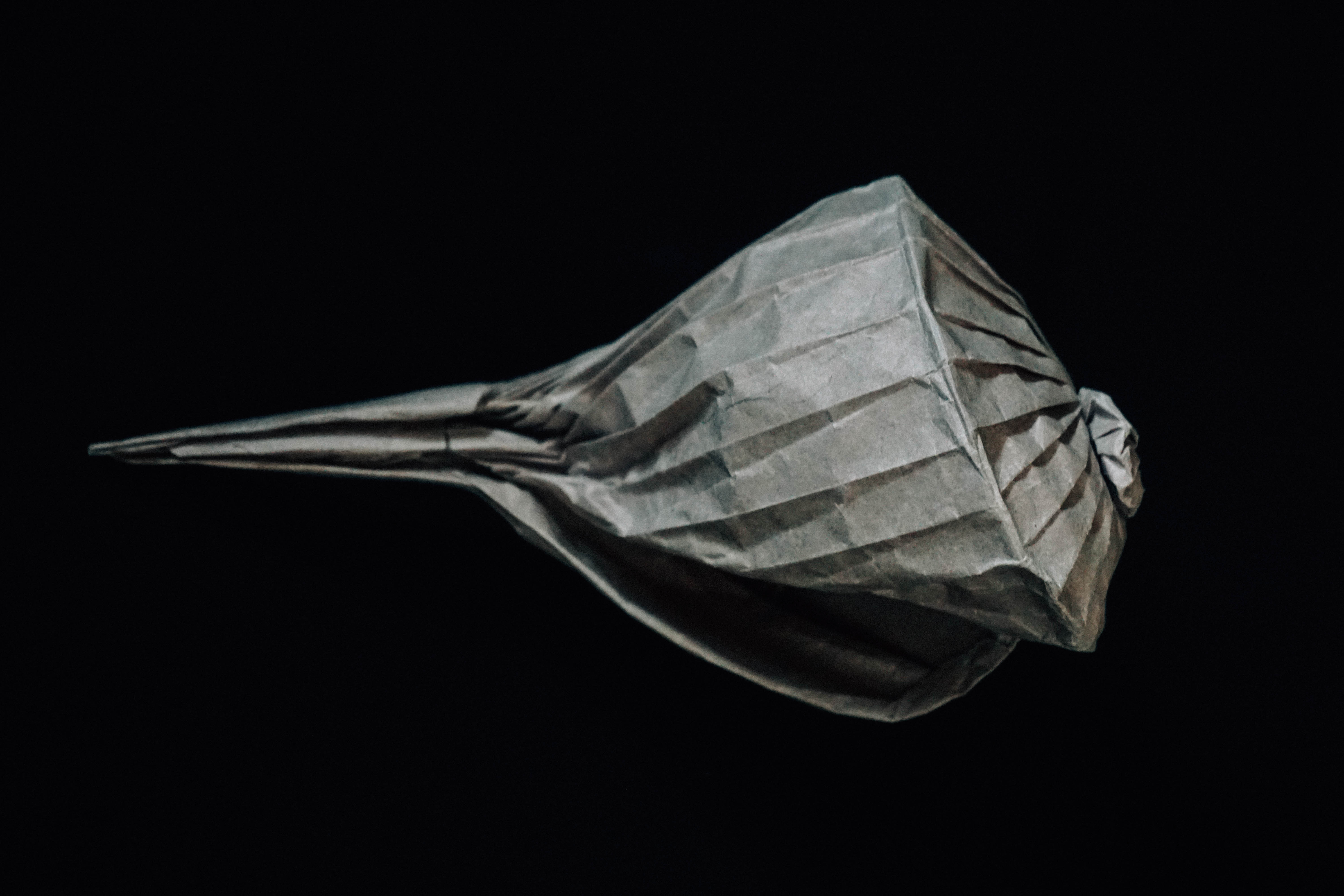 Origami Mollusc Shell