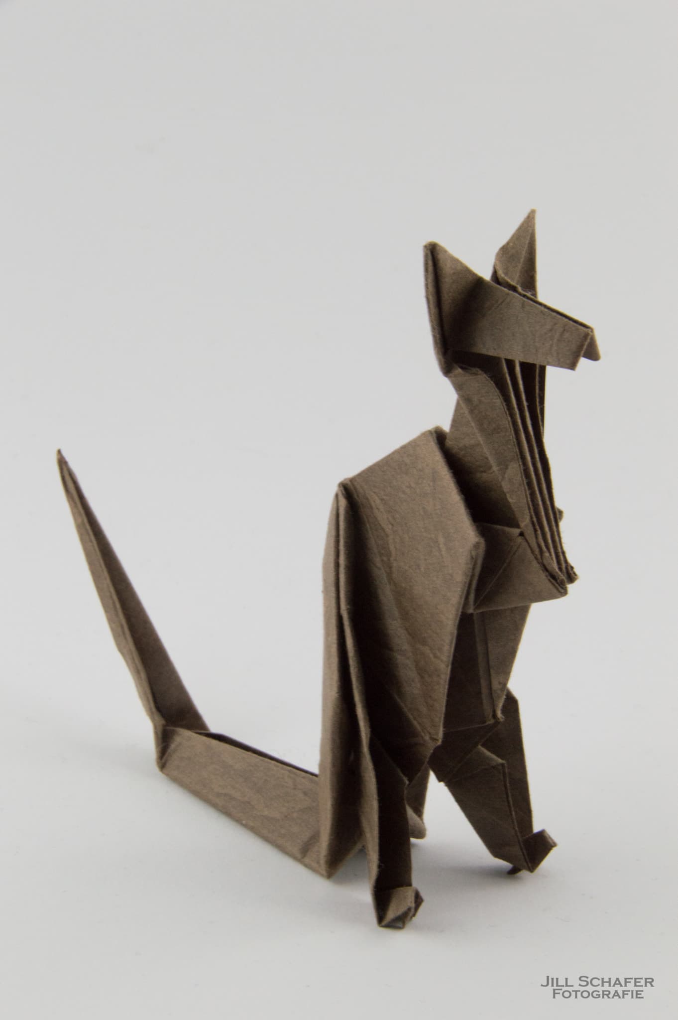 Hideo Komatsu's Kangaroo