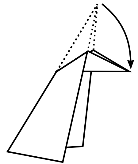 Inside Reverse Fold Diagram