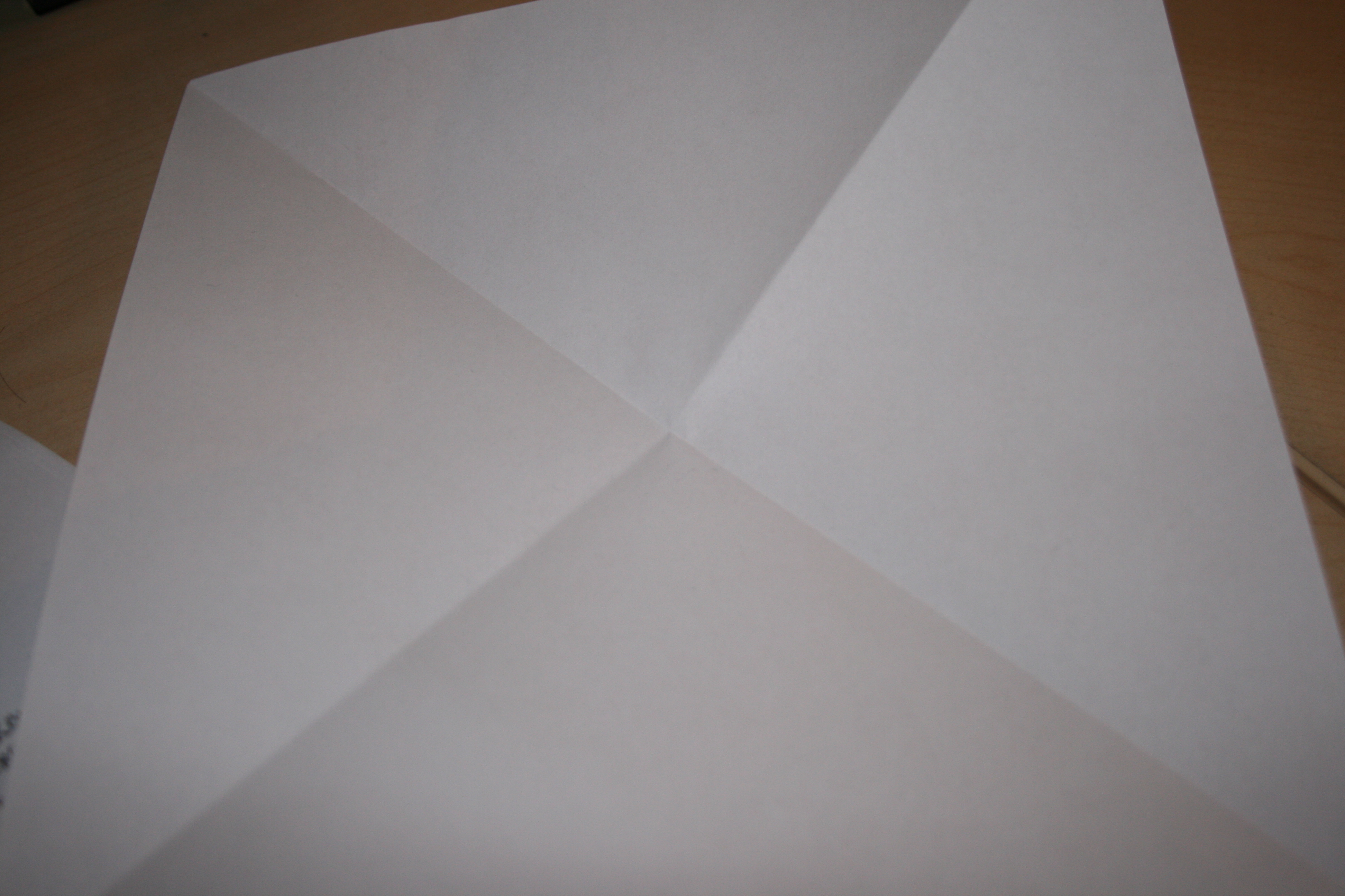 Basic Diagonal Crease Paper Airplane