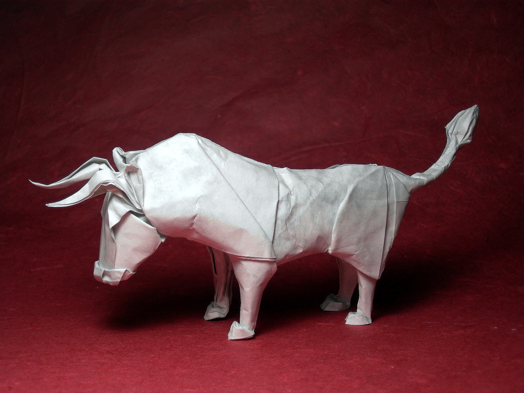 Wet-folded Bull