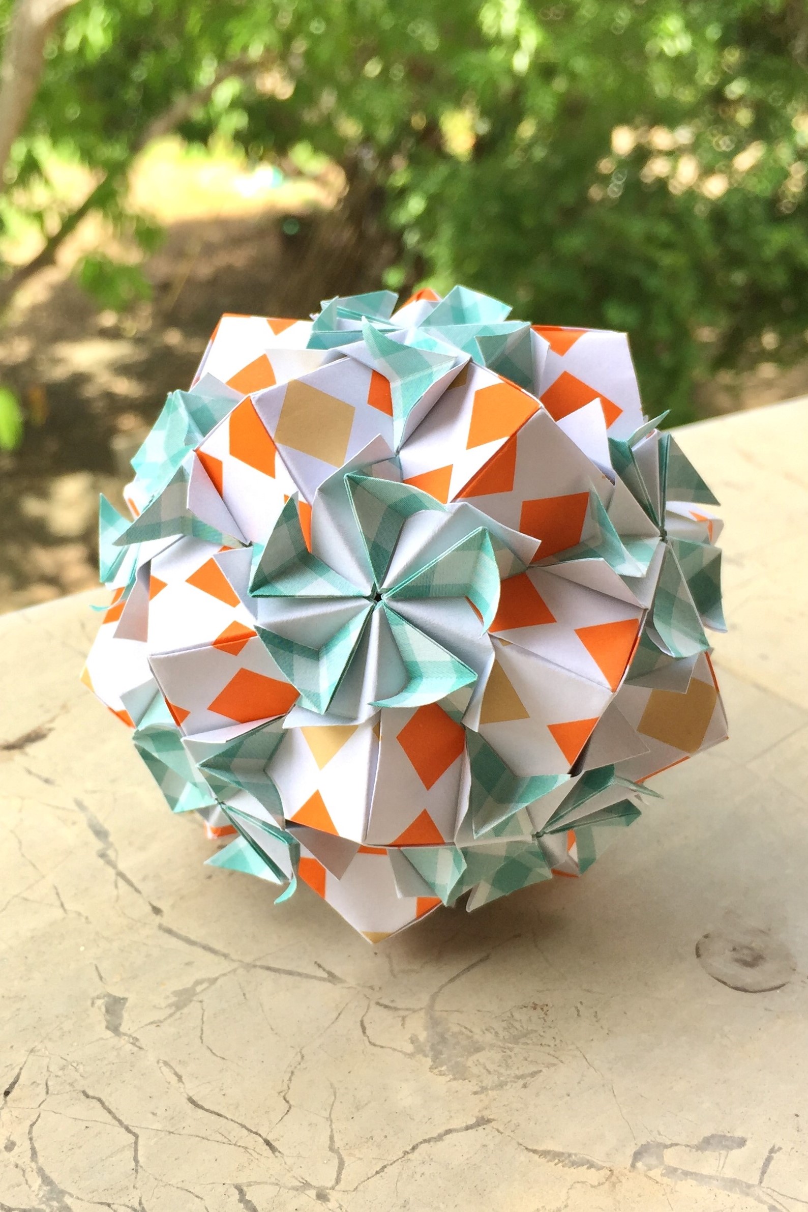 Sansevieria Kusudama