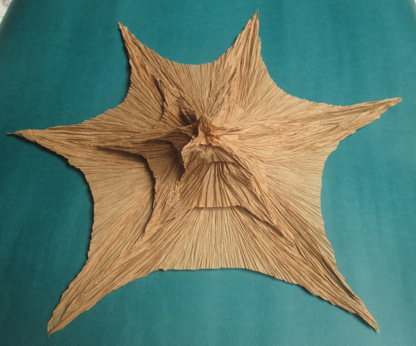 Floderer's Artichoke Froissing