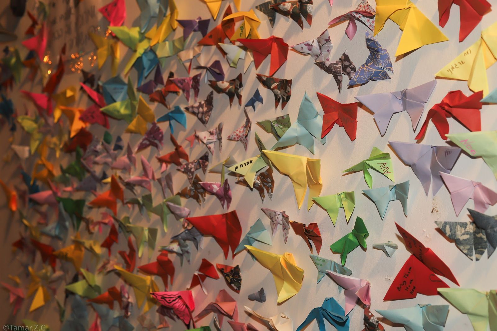 Butterflies of Hope Exhibit