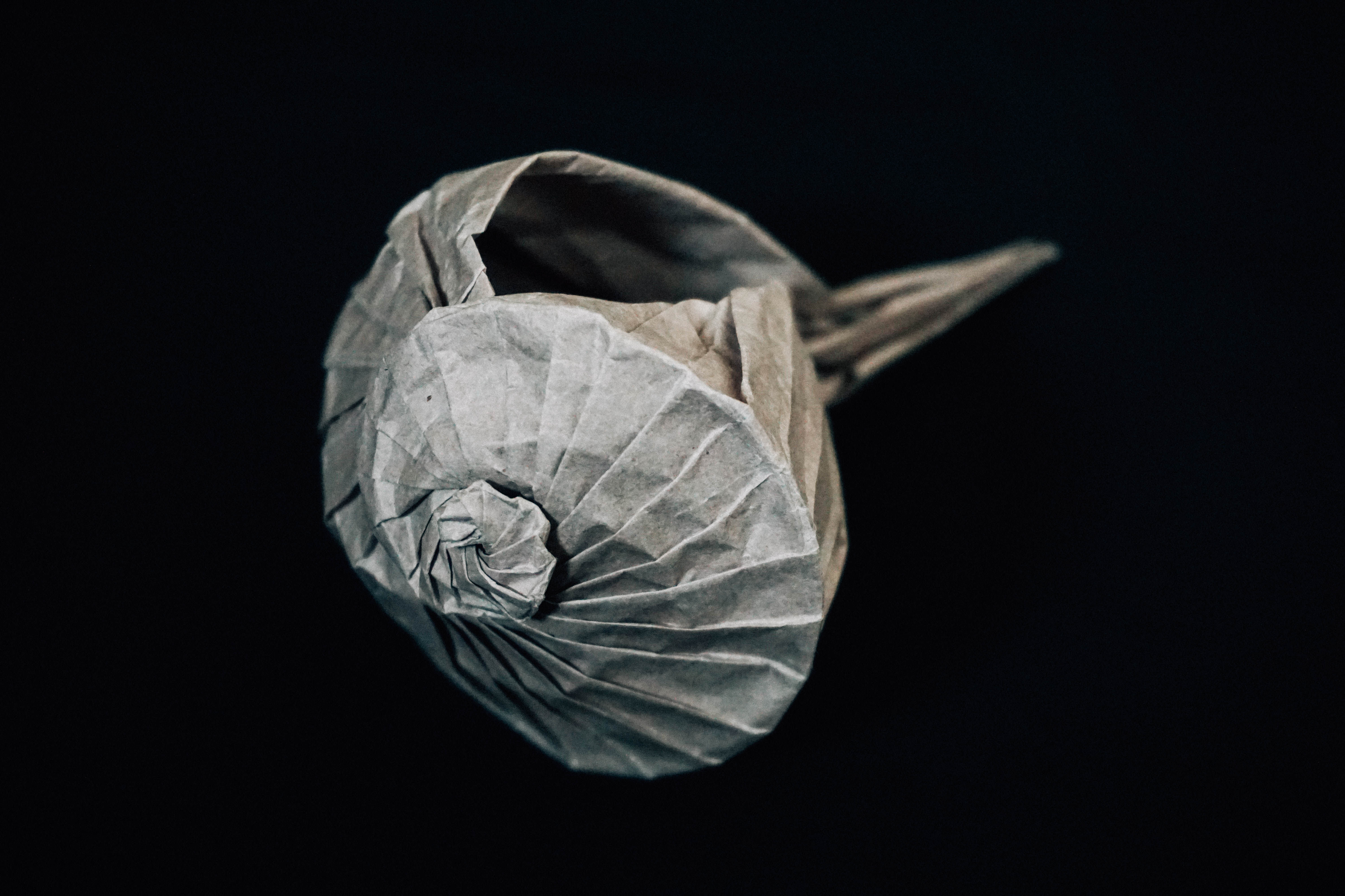 Origami Mollusc Shell