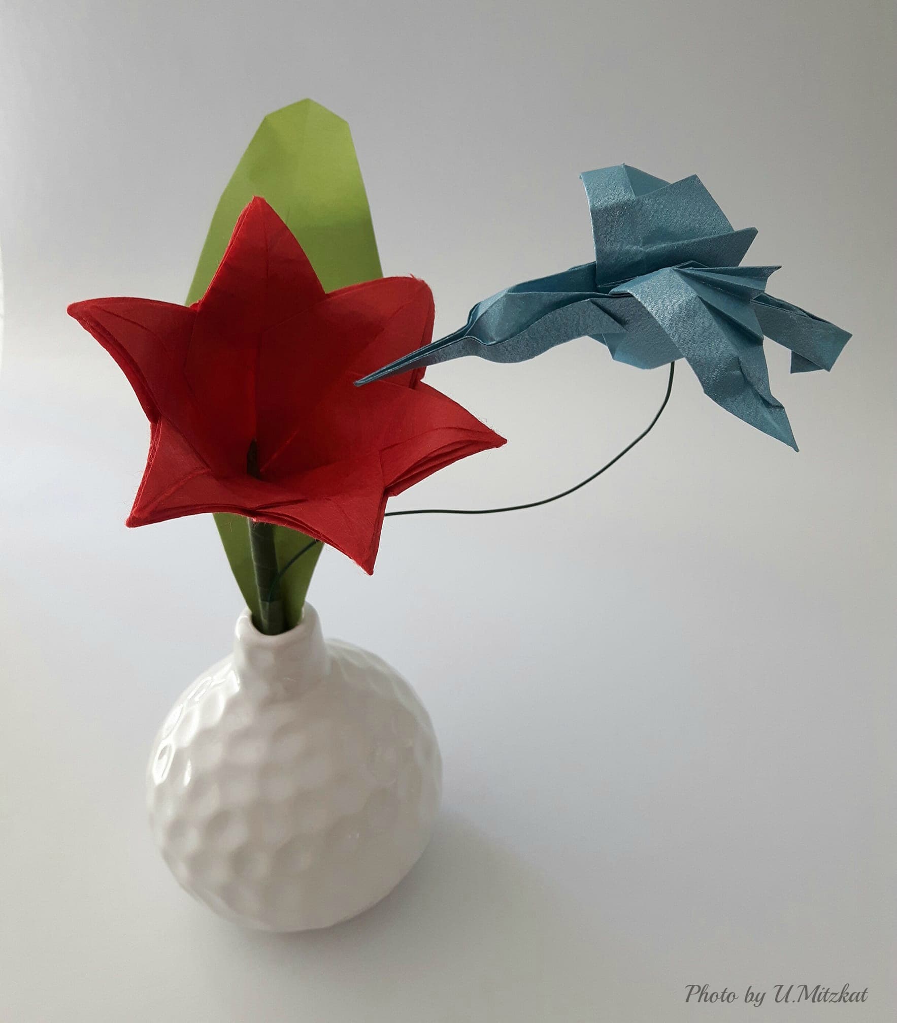 Hummingbird and Amaryllis Display