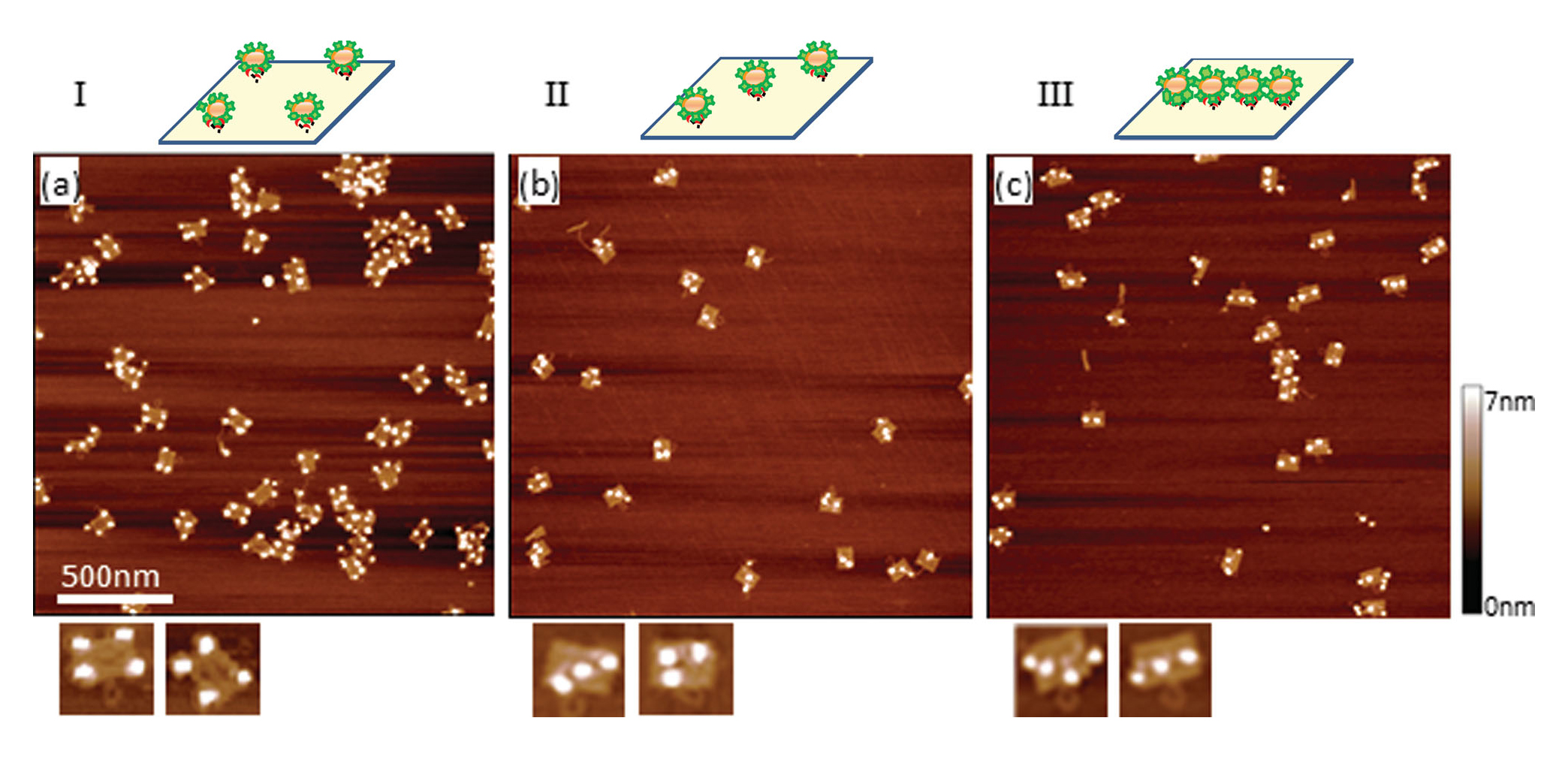 DNA Origami Quantum Dot Templates