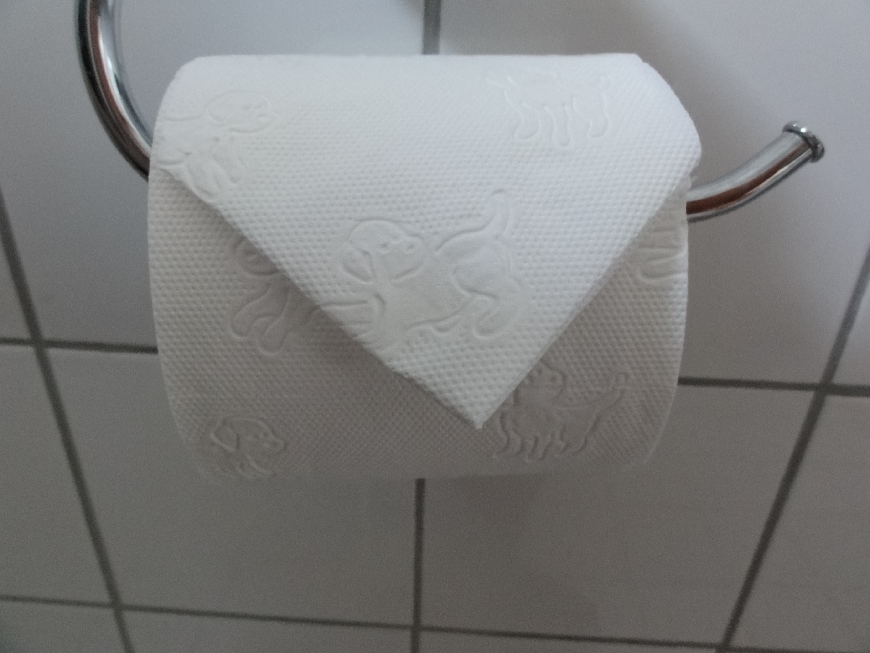 Hotel Toilet Paper Point Fold