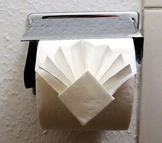 Toilet Paper Fan Fold