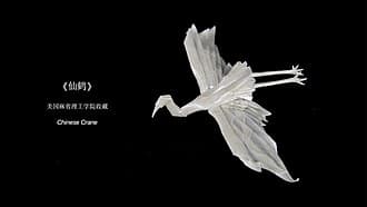 Chinese Crane