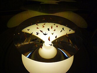 Traditional Paper Crane Display