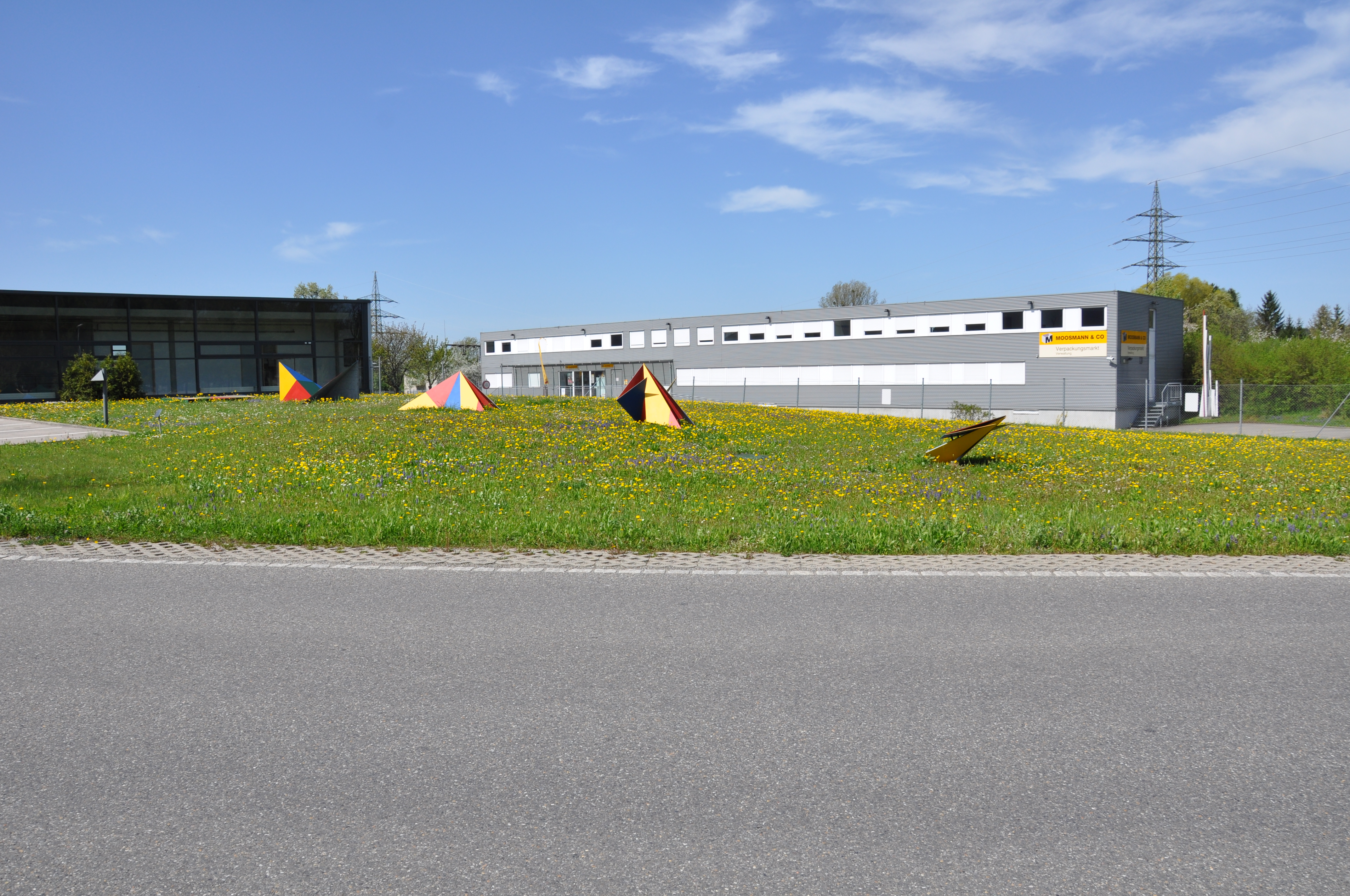 Mirko Siakkou-Flodin's Metamofrog