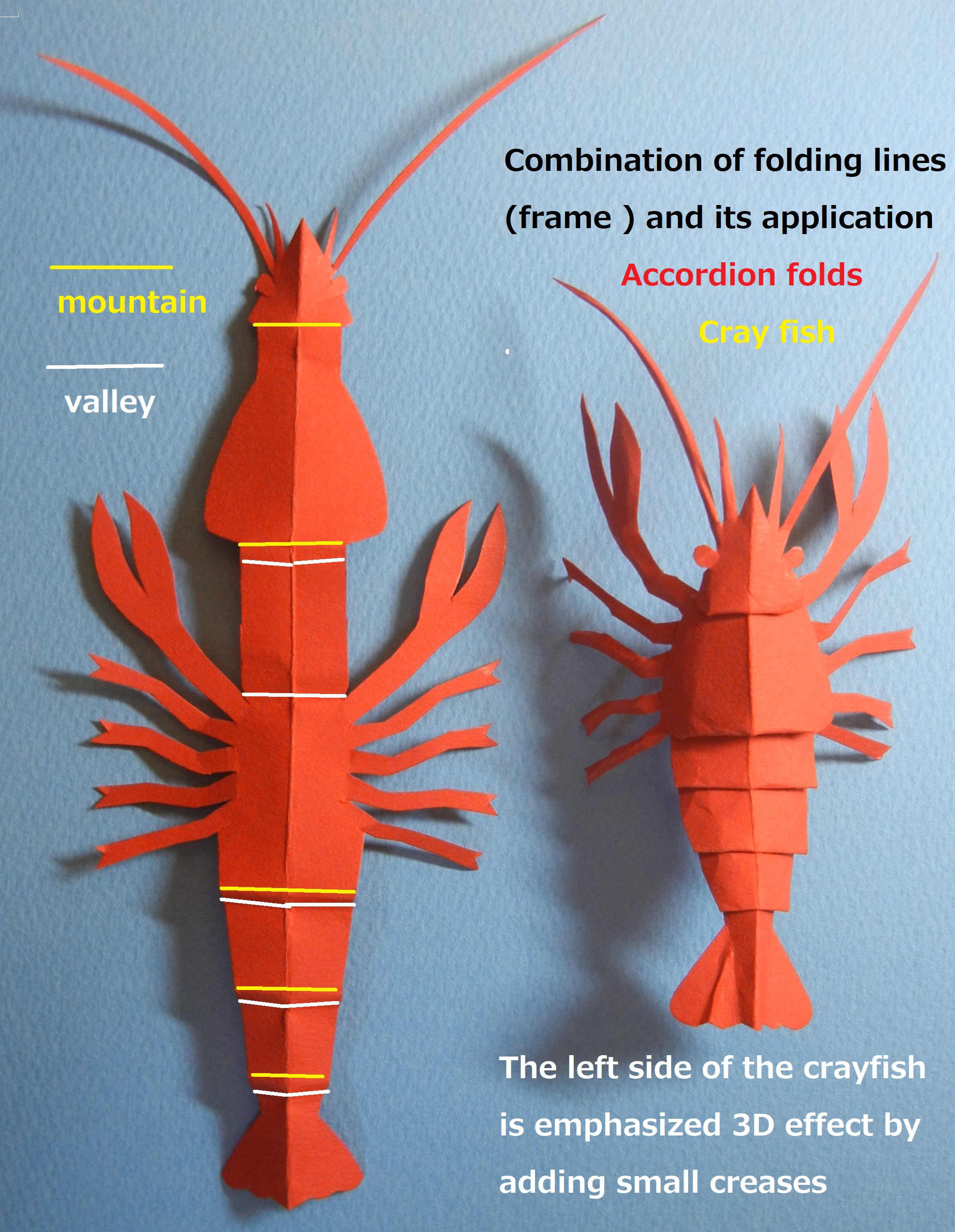 Accordion Fold Crayfish