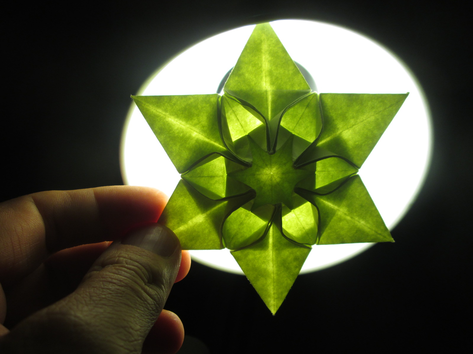 Natalia Guzowska's Talina Star