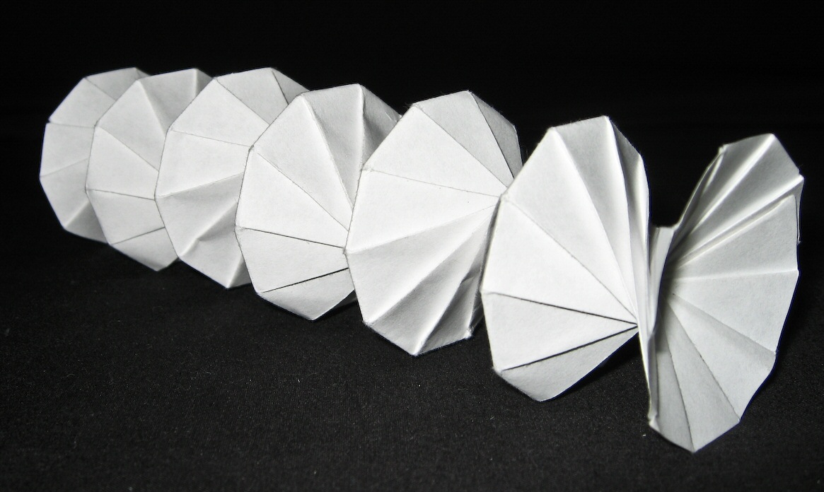 Origami Spring