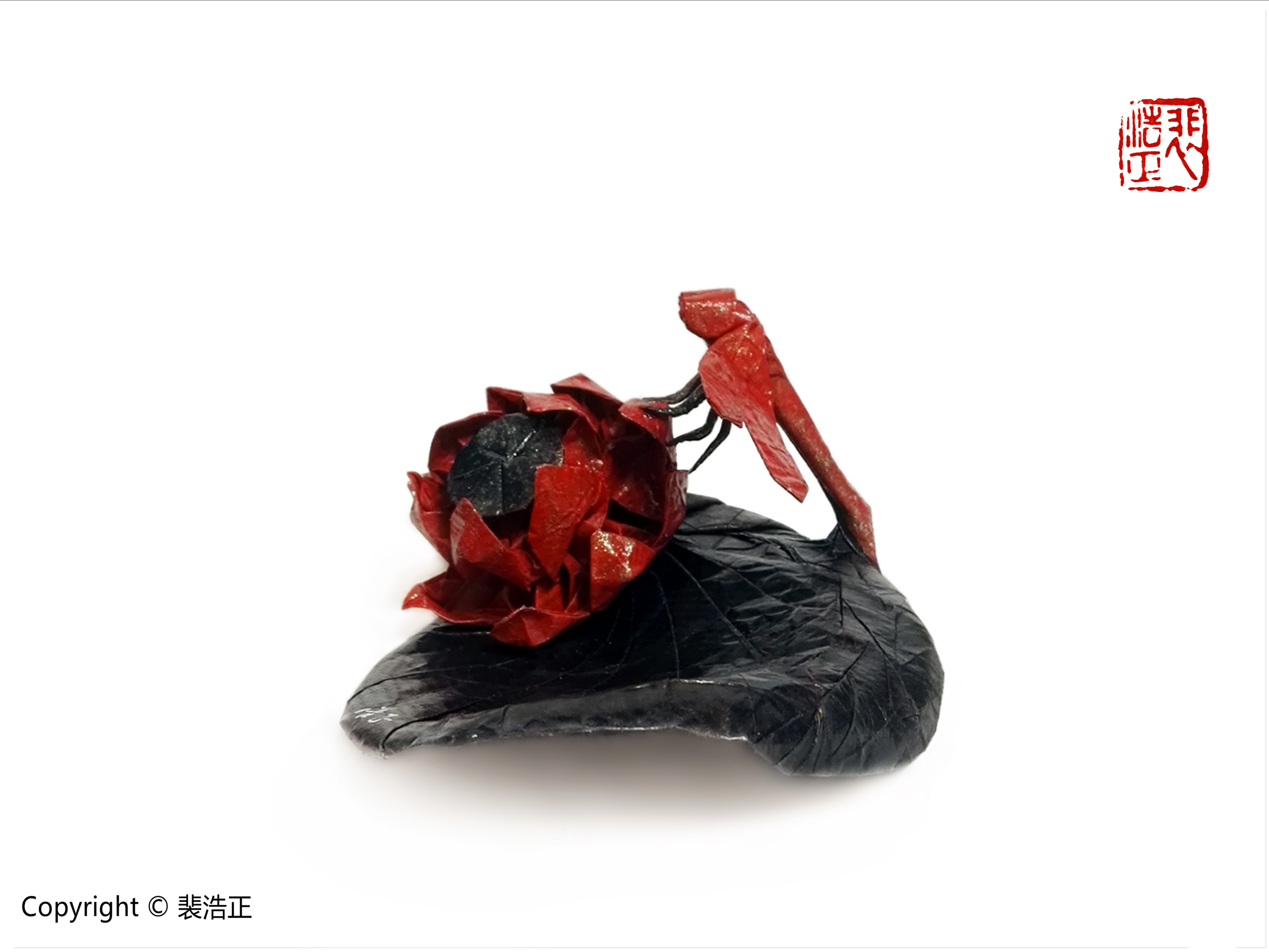 The Lotus and the Dragonfly