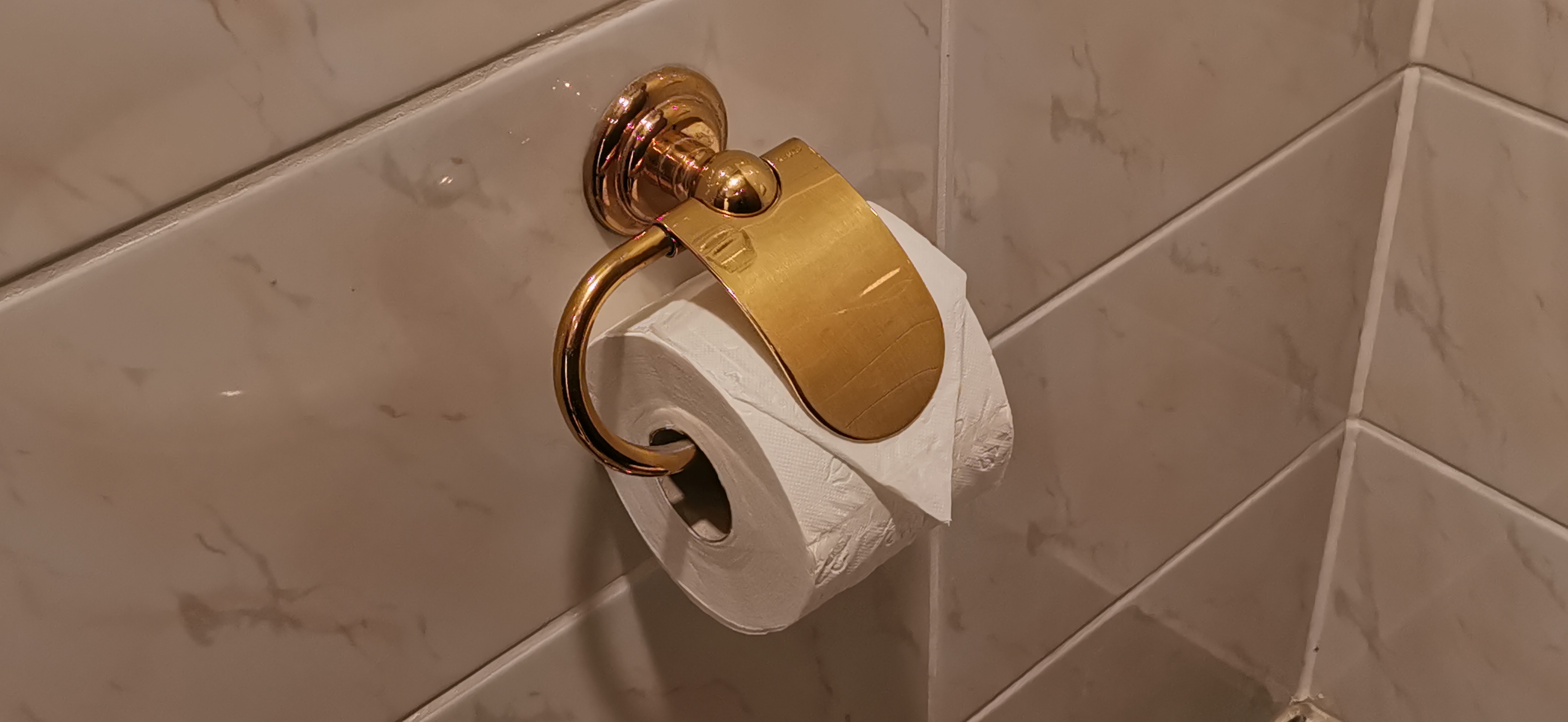 Toilet Paper Roll (Not an Origami Model)